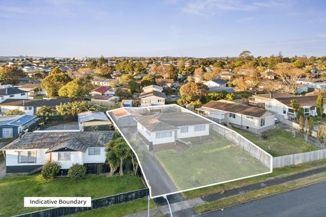 Photo of property in 45 Moncrieff Avenue, Clendon Park, Auckland, 2103