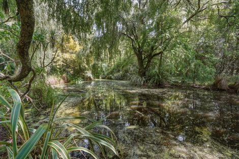 Photo of property in 125 Forestry Road, Ashley, Rangiora, 7477