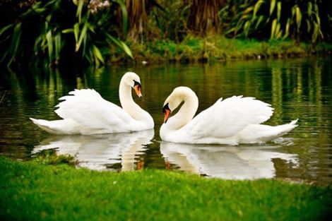 Photo of property in 214 Englishs Road, Lincoln, Christchurch, 7674