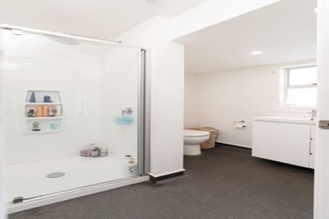 Photo of property in 46 Aro Street, Aro Valley, Wellington, 6021