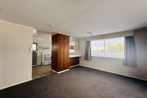 Photo of property in 101 Shamrock Street, Takaro, Palmerston North, 4412