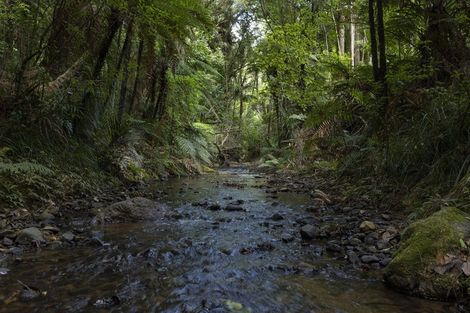 Photo of property in 42b Dutton Road, Peria, Kaitaia, 0482