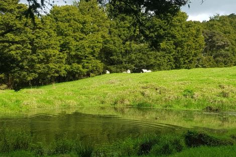 Photo of property in 504b Wairere Road, Maungaturoto, 0571