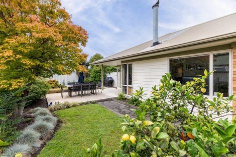 Photo of property in 34 Avondale Road, Taradale, Napier, 4112
