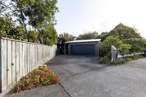 Photo of property in 22 Collingwood Street, Hokowhitu, Palmerston North, 4410