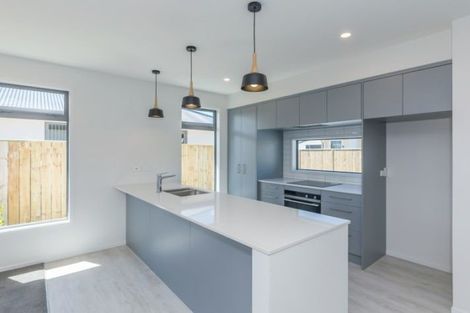 Photo of property in 19a Trafalgar Street, Levin, 5510