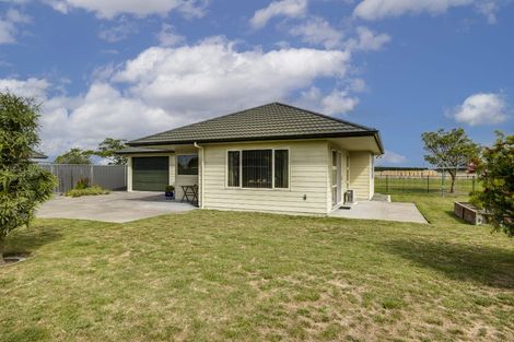 Photo of property in 44 Mcnaughton Place, Onekawa, Napier, 4110