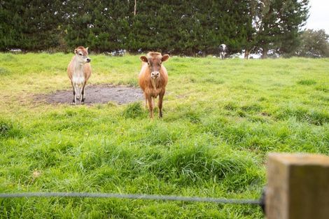 Photo of property in 47 Cowper Side Road, Dannevirke, 4976