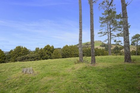 Photo of property in 340 Pigs Head Road, Opuawhanga, Hikurangi, 0184