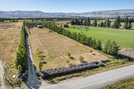 Photo of property in 66 Gladsmuir Road, Queensberry, Cromwell, 9383