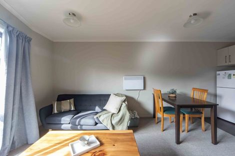 Photo of property in 58 Willoughby Street, Whitiora, Hamilton, 3200