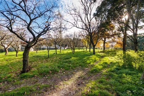 Photo of property in 2390 State Highway 3, Sanson, Palmerston North, 4479