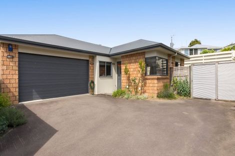 Photo of property in 172a Otumoetai Road, Brookfield, Tauranga, 3110