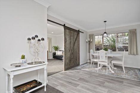 Photo of property in 15 Rochester Place, Bethlehem, Tauranga, 3110