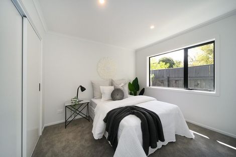 Photo of property in 469a Ruahine Street, Terrace End, Palmerston North, 4410