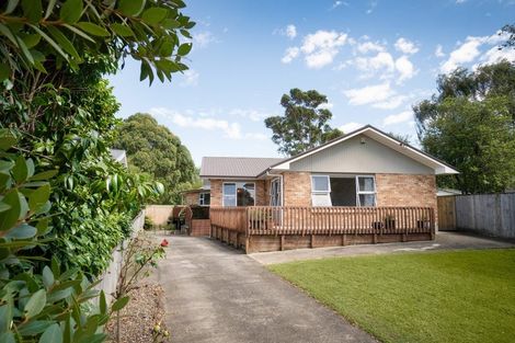 Photo of property in 8 Perth Place, Awapuni, Palmerston North, 4412