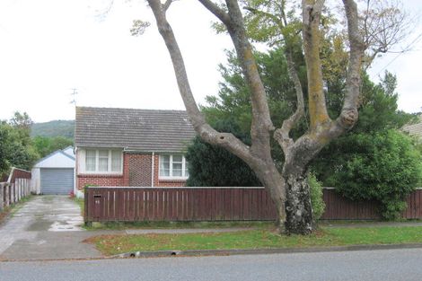 Photo of property in 43 Molesworth Street, Taita, Lower Hutt, 5011