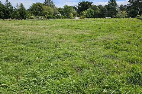 Photo of property in 49 Bright Street, Eketahuna, 4900