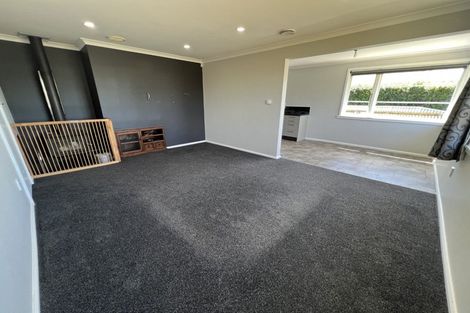 Photo of property in 96 Wood Street, Takaro, Palmerston North, 4410