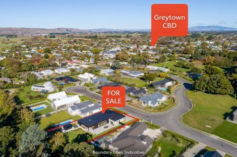 Photo of property in 1 Matai Grove, Greytown, 5712