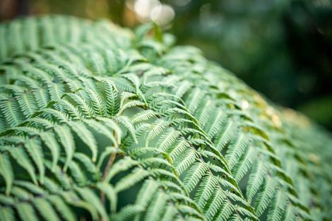 Photo of property in 150 Makara Road, Makara, Karori, 6972