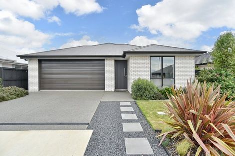 Photo of property in 8 Jasmine Street, Woodend, 7610