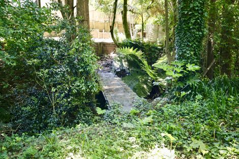 Photo of property in 66 Pelorus Street, Glenview, Hamilton, 3206