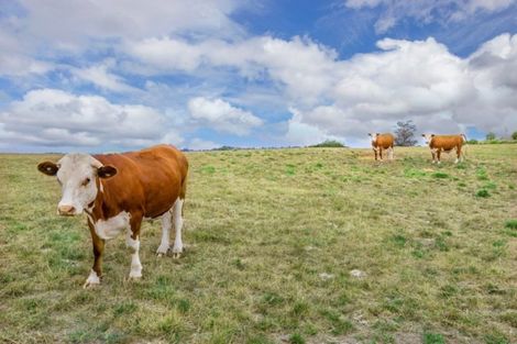 Photo of property in 273 Green Road, Matakana, Warkworth, 0985