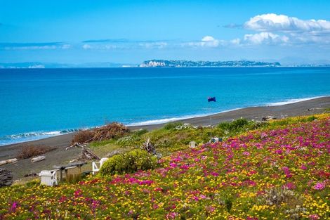 Photo of property in 242 Whirinaki Road, Eskdale, Napier, 4182