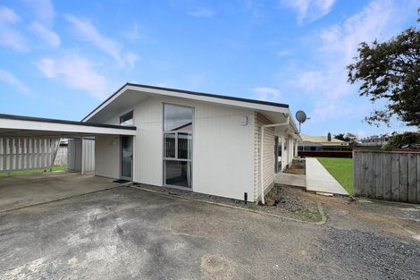 Photo of property in 65a Winchester Street, Levin, 5510