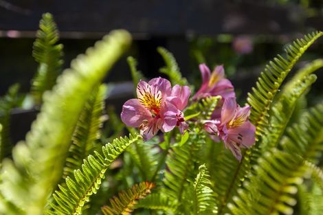 Photo of property in 25a Manawa Avenue, Raumati Beach, Paraparaumu, 5032