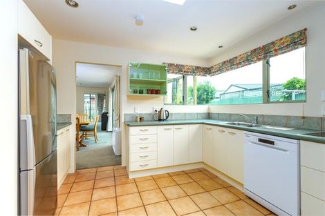 Photo of property in 17 Hewlings Place, Temuka, 7920