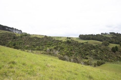 Photo of property in 158 Kereru Lane, Kaiwaka, 0573