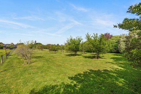 Photo of property in 19 Isobel Place, Rarangi, Blenheim, 7273