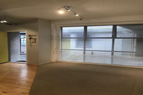 Photo of property in Hopper Street Apartments, 5/20 Hopper Street, Mount Cook, Wellington, 6011