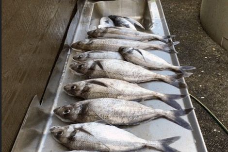 Photo of property in 149 Te Awaiti Road, Tora, Martinborough, 5782