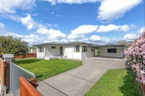 Photo of property in 30 Forbury Avenue, Takaro, Palmerston North, 4412