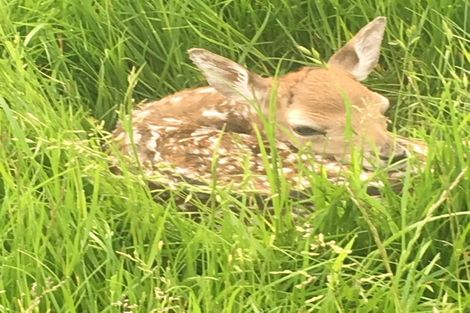 Photo of property in 18 Meadowlinks Lane, Pleasant Point, 7974