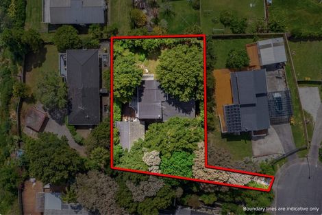Photo of property in 10 Tusac Place, Totara Vale, Auckland, 0627