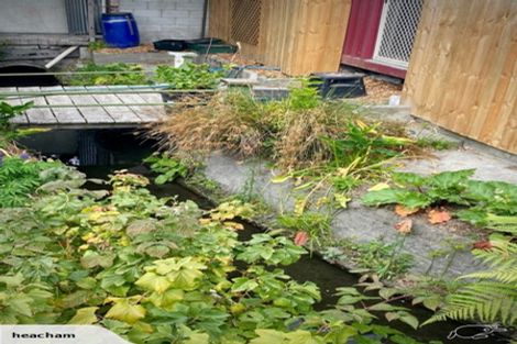 Photo of property in 504 Manchester Street, St Albans, Christchurch, 8014