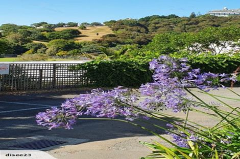 Photo of property in 2/15 Upper Lewisville Terrace, Thorndon, Wellington, 6011