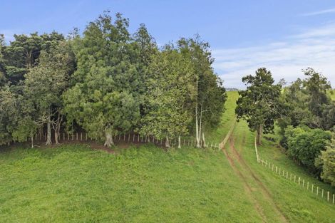 Photo of property in 201c Checkley Road, Raglan, 3295