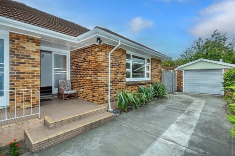 Photo of property in 40 Buffon Street, Waltham, Christchurch, 8023