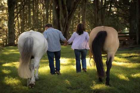 Photo of property in 202 Rapson Road, Kaukapakapa, 0871