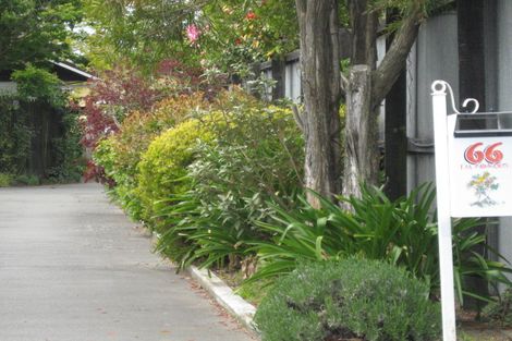 Photo of property in 66 Rangiora Woodend Road, Woodend, 7610