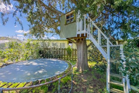 Photo of property in 11 Miro Street, Matamata, 3400