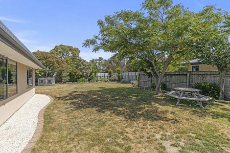 Photo of property in 42b Brydon Street, Renwick, 7204