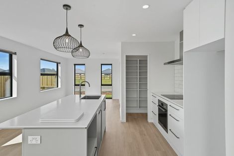 Photo of property in 17 Rita Angus Road, Belfast, 8051