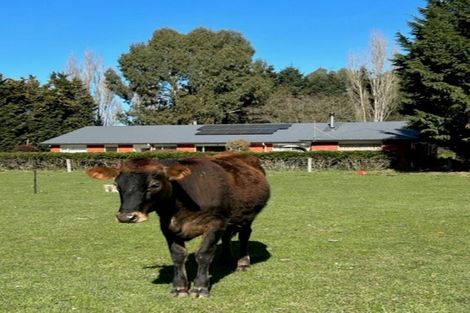 Photo of property in 152 Smithfield Road, Elgin, Ashburton, 7772