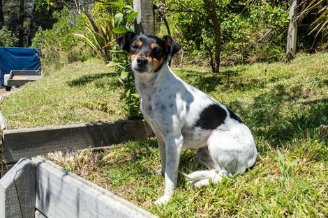 Photo of property in 184-190 Kahukura Avenue, Waitarere Beach, Levin, 5510
